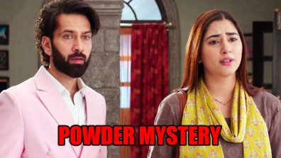 Bade Achhe Lagte Hain 3 spoiler: Powder mystery leads Priya to uncover devious plot