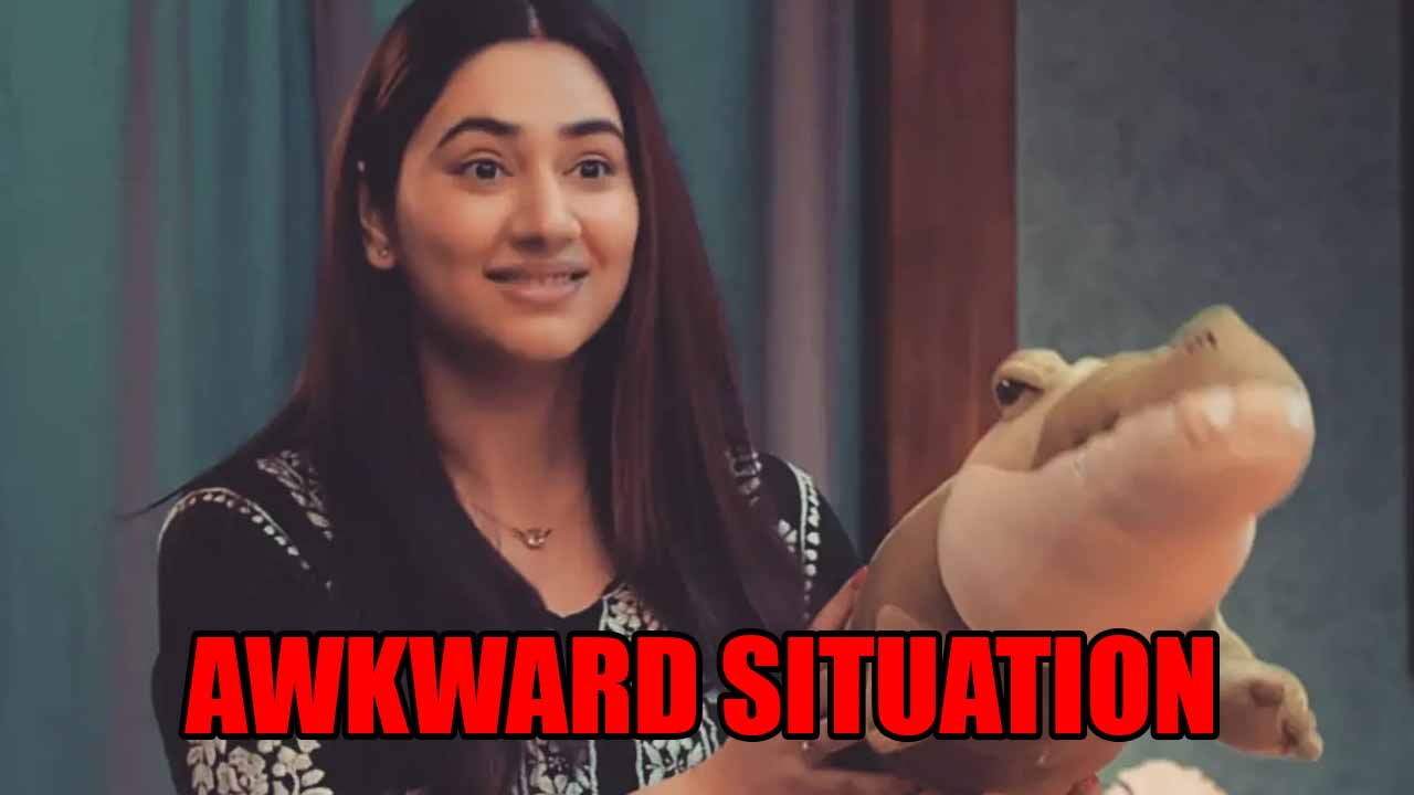 Bade Achhe Lagte Hain 3 spoiler: Priya gets into an awkward situation at Ram’s house 832798