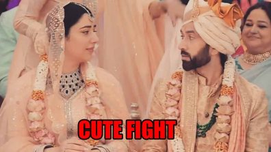 Bade Achhe Lagte Hain 3 spoiler: Ram and Priya’s cute fight on the wedding night