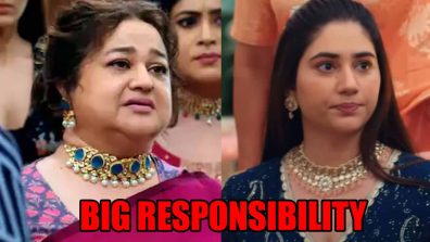 Bade Achhe Lagte Hain 3 spoiler: Shalini gives big responsibility to Priya