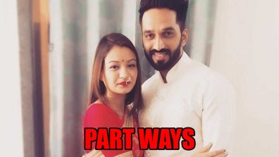 Badi Door Se Aaye Hain fame Shruti Rawat announces separation from husband Nikkhil Agawane