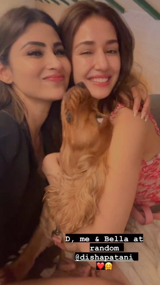 BFF Diaries: Mouni Roy and Disha Patani's Adorable Sunday Hangout 839446