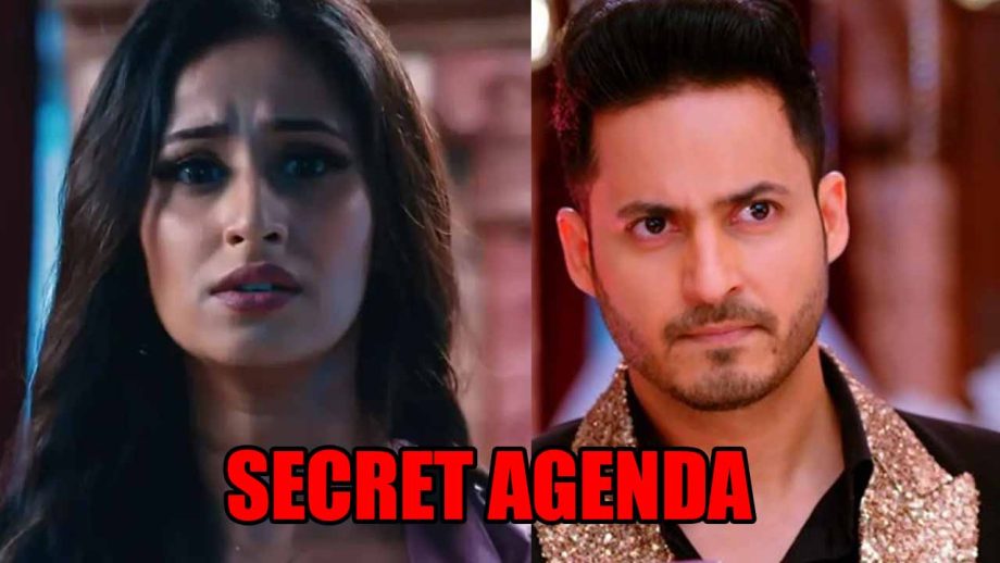 Bhagya Lakshmi spoiler: Malishka's secret agenda to protect Vikrant's motives 832617