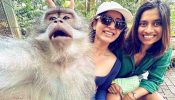 Exploring Bali with Samantha Ruth Prabhu: The journey from Uluwatu to Ubud Monkey Forest