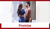 Ghum Hai Kisikey Pyaar Meiin Spoiler: Ishaan and Reeva promise to stay together
