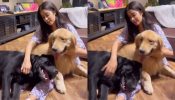 Here Find Out Janhvi Kapoor’s Pyaar In An Adorable Video