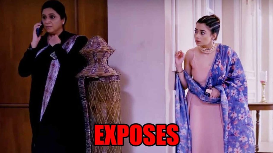 Hum Rahein Na Rahein Hum spoiler: Surilii exposes Ambitai in front of the family  833290