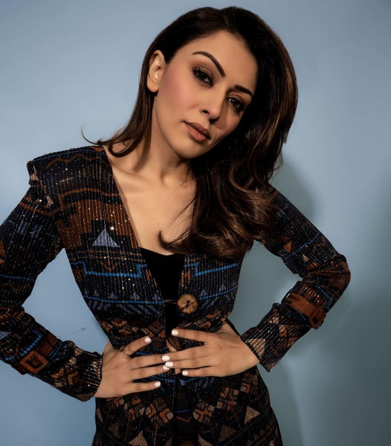 In Pics: Hansika Motwani wins internet in her glam avatar 832336