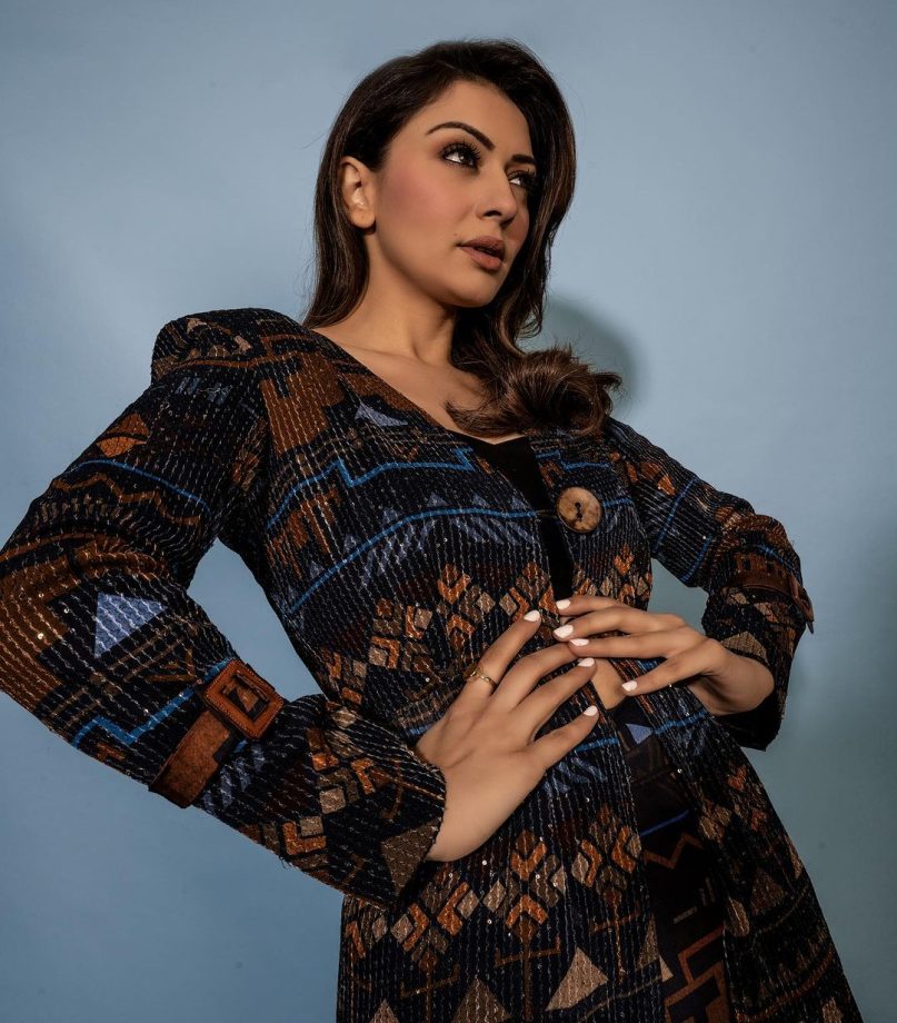 In Pics: Hansika Motwani wins internet in her glam avatar 832341