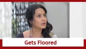 Neerja Ek Nayi Pehchaan Spoiler: Didun gets floored on seeing the grandeur at Bagchi house