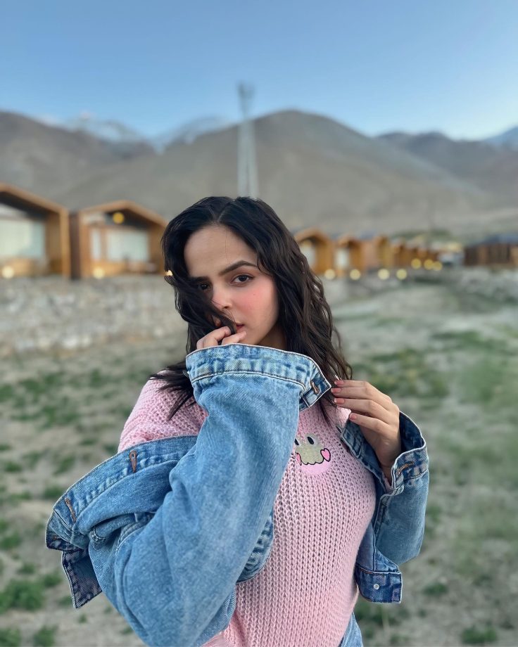 Palak Sindhwani goes pristinely pink in Pangong lake, see pics 838296