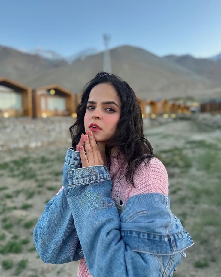 Palak Sindhwani goes pristinely pink in Pangong lake, see pics 838297