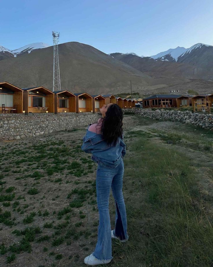 Palak Sindhwani goes pristinely pink in Pangong lake, see pics 838299