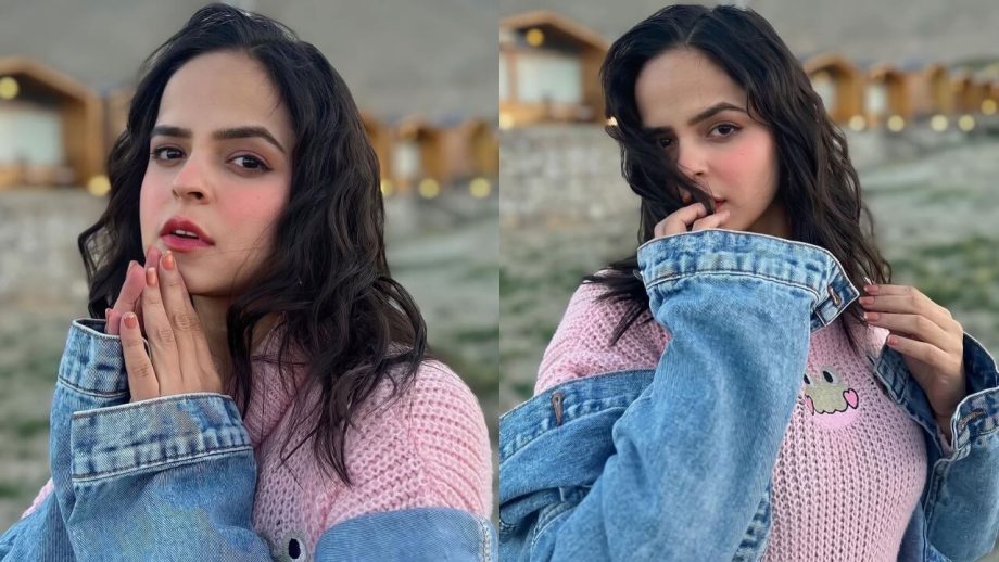 Palak Sindhwani goes pristinely pink in Pangong lake, see pics 838295