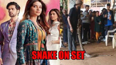 Python spotted on Ghum Hai Kisikey Pyaar Meiin’s set, lead Shakti Arora shares unseen video