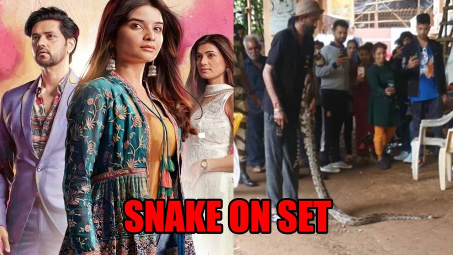 Python spotted on Ghum Hai Kisikey Pyaar Meiin’s set, lead Shakti Arora shares unseen video 832054