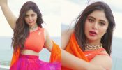 Ritabhari Chakraborty Flaunts Floral Beauty; Video Goes Viral