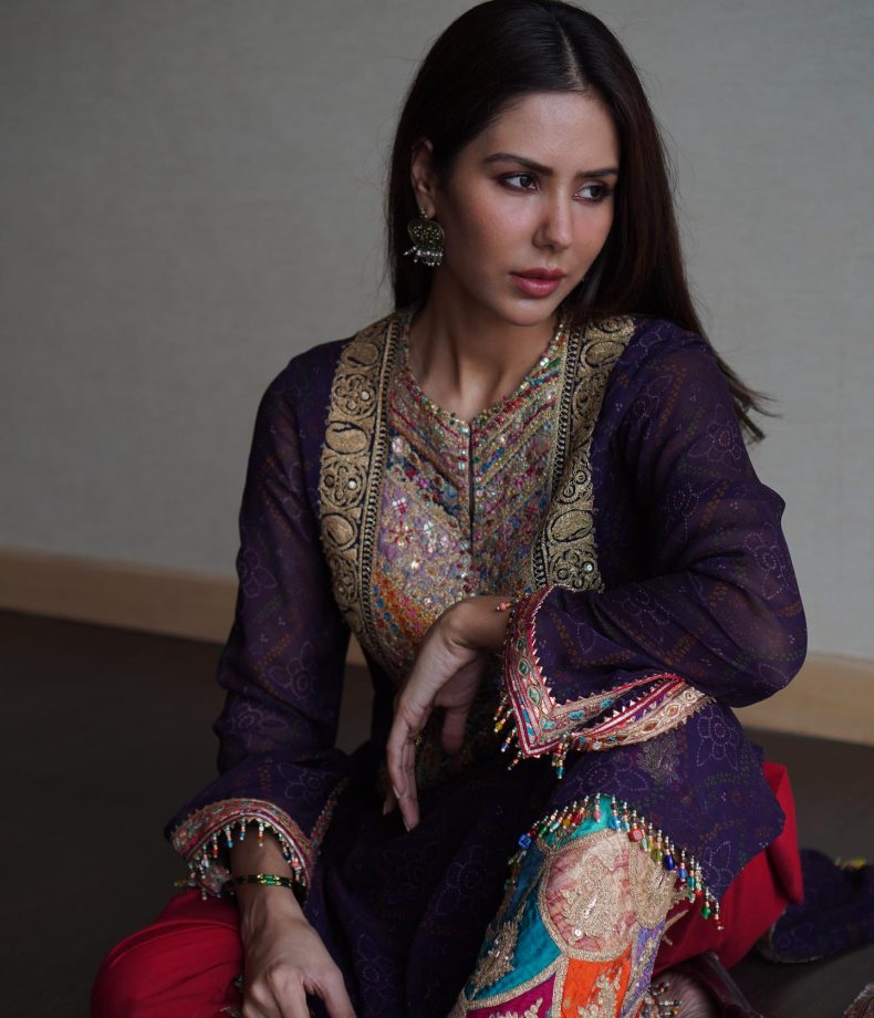 Sonam Bajwa Exudes Ethnicity In Embellished Salwar Suit 836749