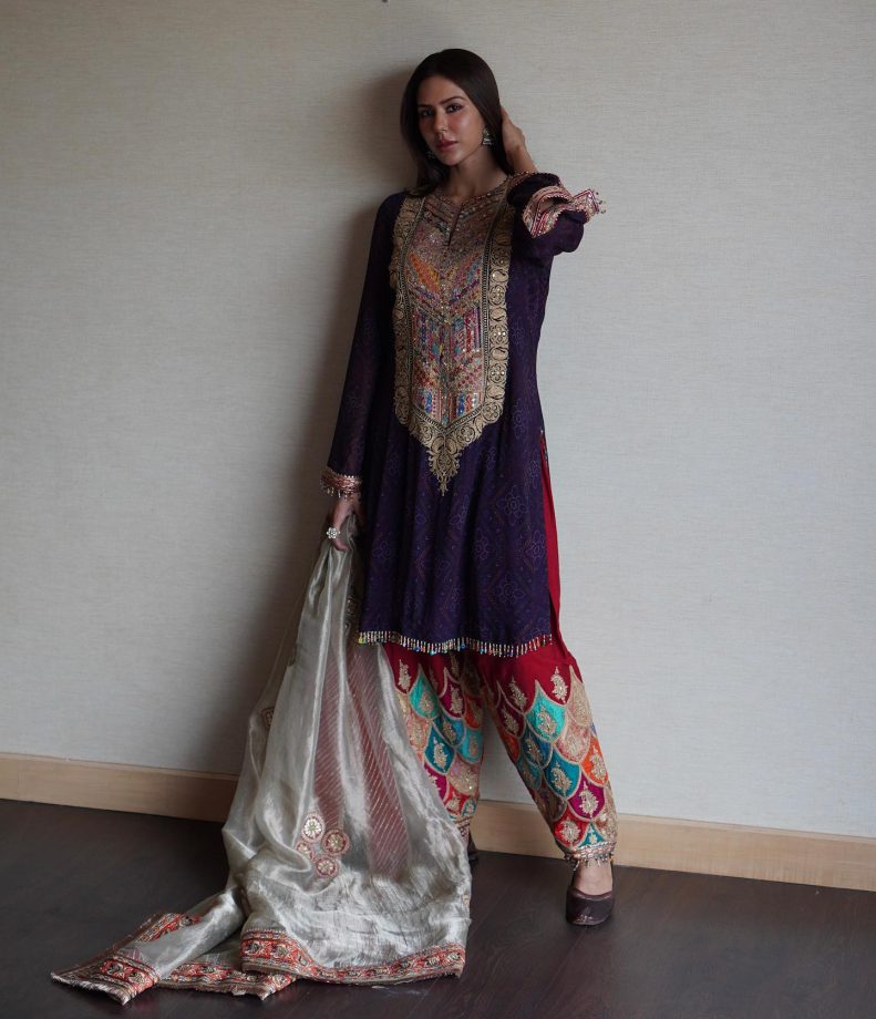 Sonam Bajwa Exudes Ethnicity In Embellished Salwar Suit 836751