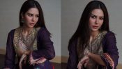 Sonam Bajwa Exudes Ethnicity In Embellished Salwar Suit