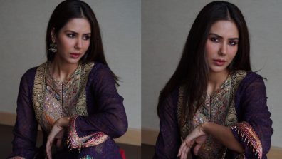 Sonam Bajwa Exudes Ethnicity In Embellished Salwar Suit