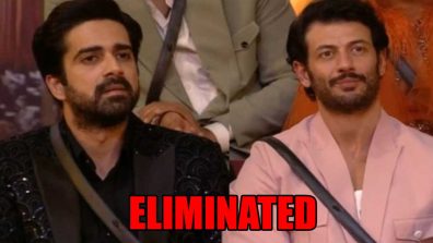 Bigg Boss OTT 2: Jad Hadid and Avinash Sachdev get eliminated