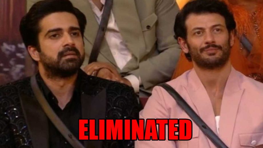 Bigg Boss OTT 2: Jad Hadid and Avinash Sachdev get eliminated 841030