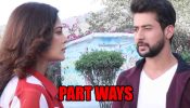 Dil Diyaan Gallaan spoiler: Veer decides to part ways with Amrita