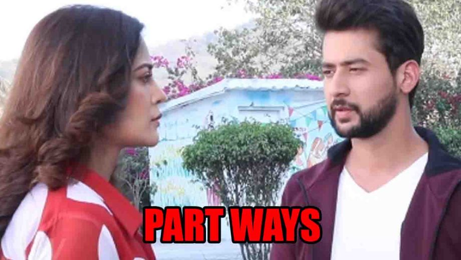 Dil Diyaan Gallaan spoiler: Veer decides to part ways with Amrita 845658