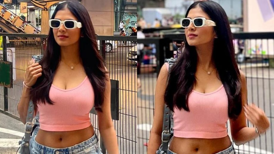 In Pics: Malavika Mohanan looks preppy in pink crop top and mini skirt 842338