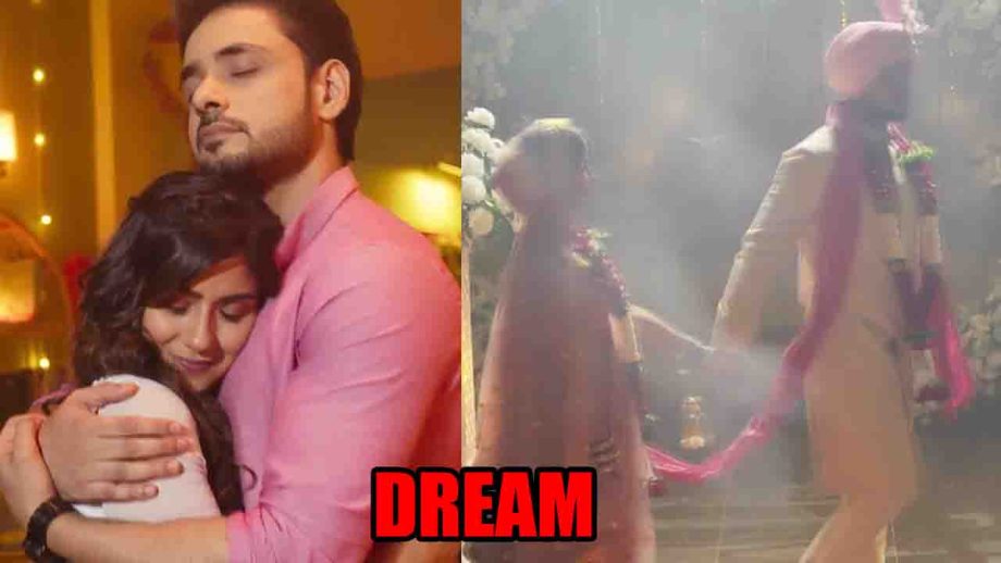 Kathaa Ankahee spoiler: Kathaa and Viaan dream about their wedding 844542