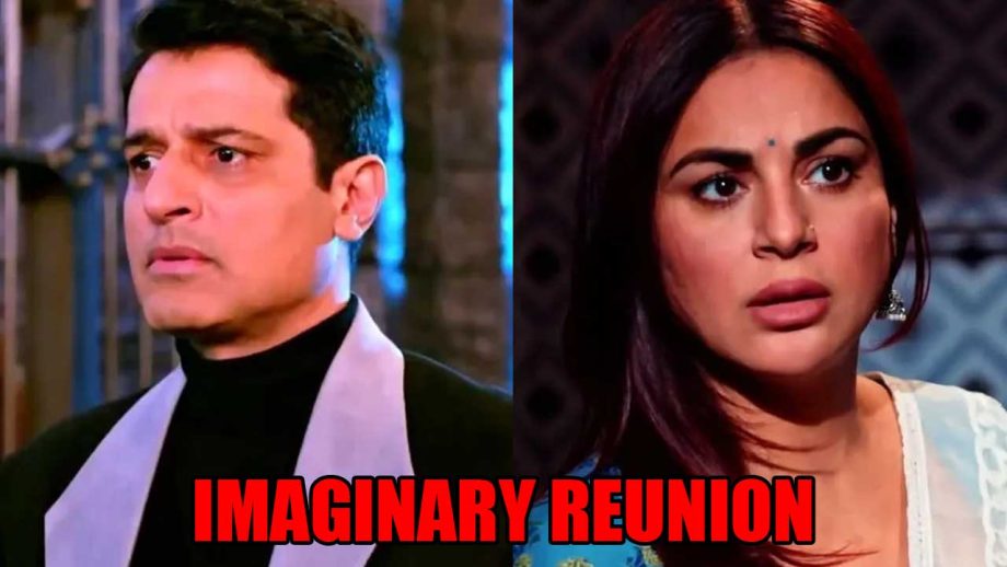 Kundali Bhagya spoiler: Karan’s imaginary reunion with Preeta   841549