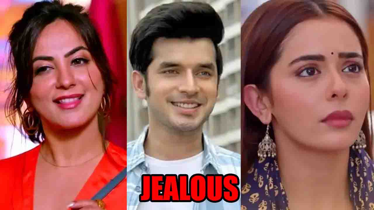 Kundali Bhagya spoiler: Shanaya's flirting act with Rajveer makes Palki jealous 847029