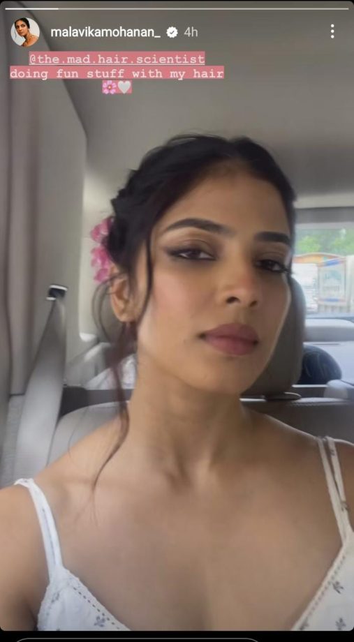 Malavika Mohanan Adorns Her Hair With Flowers, Looks Mesmerizing 843315