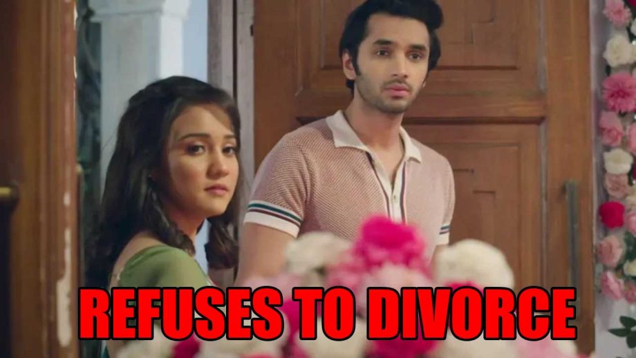 Meet spoiler: Sumeet refuses to divorce Shlok 841061