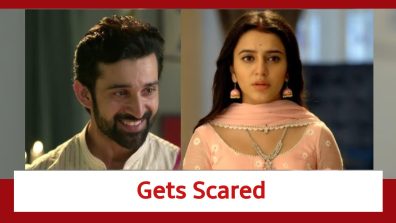 Neerja Ek Nayi Pehchaan Spoiler: Abeer gets scared; yells at Neerja