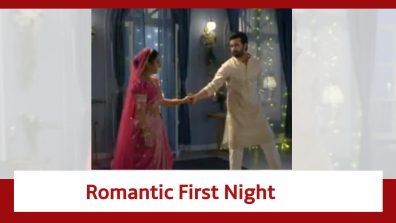Neerja Ek Nayi Pehchaan Spoiler: Abeer’s romantic first night with Neerja