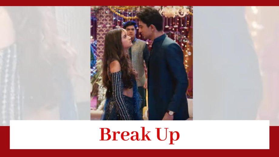 Pandya Store Spoiler: Dhawal and Natasha break up 845945