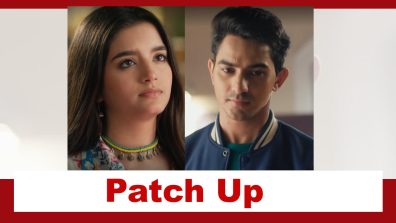 Pandya Store Spoiler: Dhawal and Natasha patch up