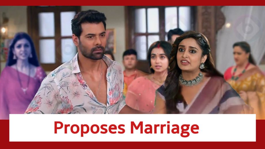 Pyar Ka Pehla Naam Radha Mohan Spoiler: Mohan proposes the idea of wedding to Damini 839899