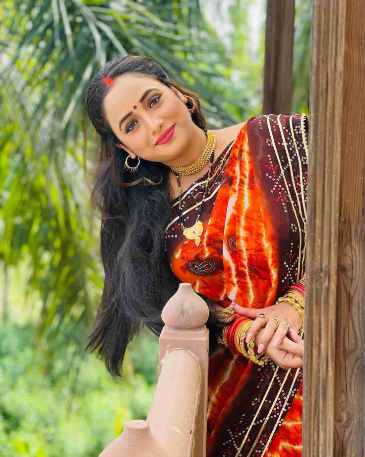 Rani Chatterjee Personifies 'North Indian' Vibes In Chundari Chap Saree 845379