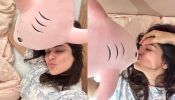 Shraddha Arya’s Birthday Special With Her Husband And Dolphin, See Pics