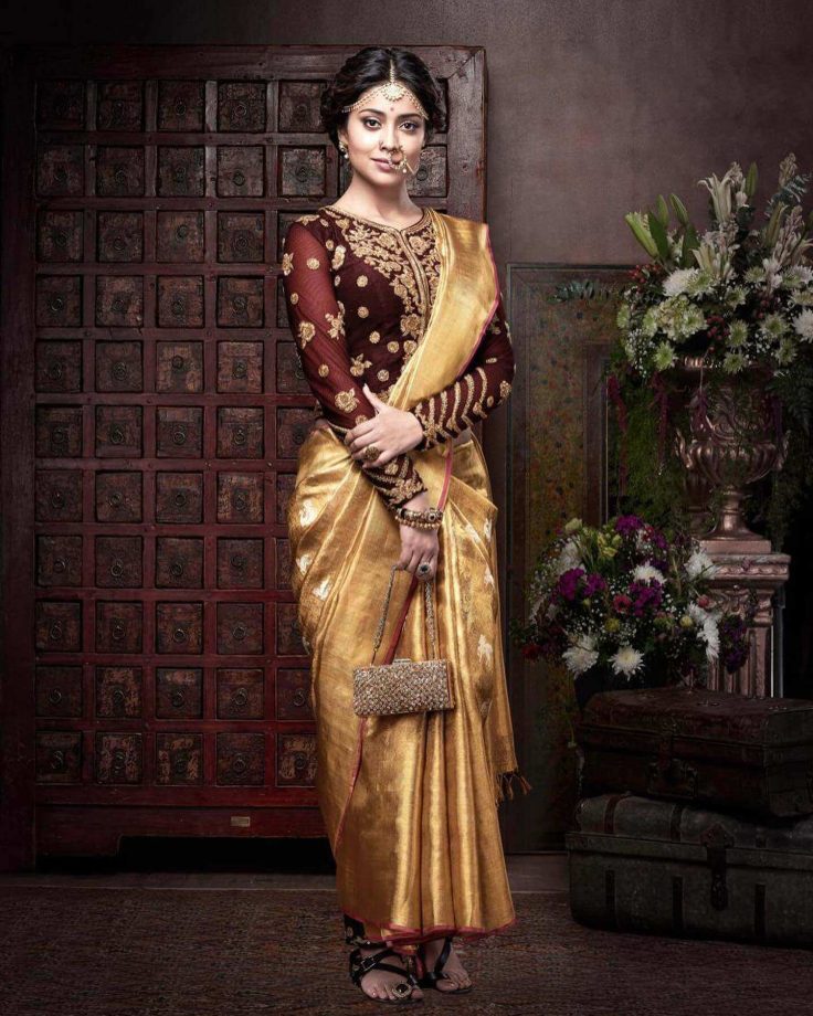 Shriya Saran is 'art' personified in this sheer golden saree, see pics 842591