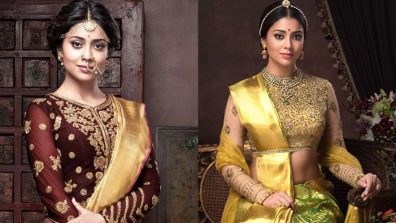 Shriya Saran is ‘art’ personified in this sheer golden saree, see pics