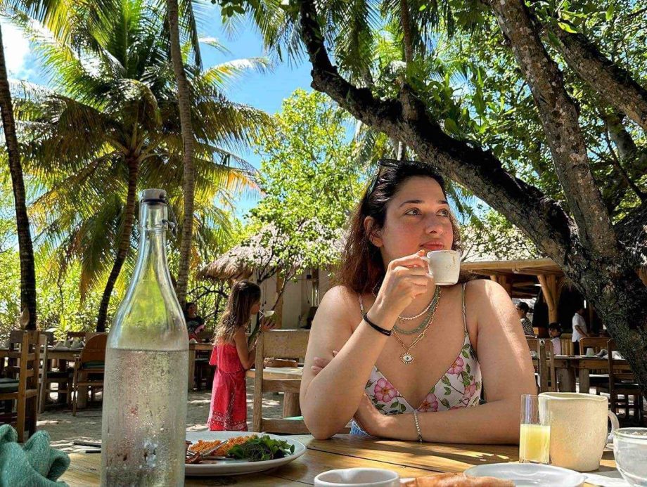 Tamannaah Bhatia goes on a coastal escapade in pink swimsuit, see pics 847537