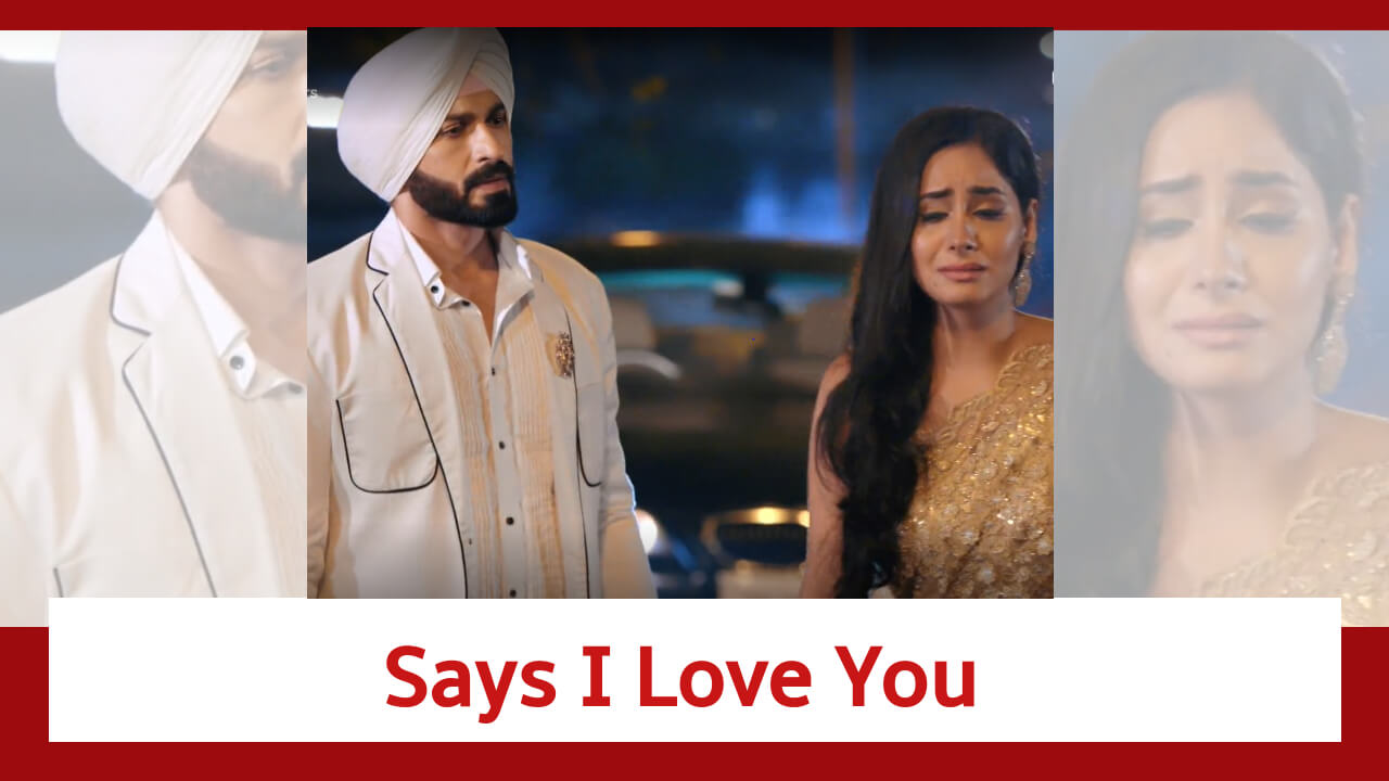 Teri Meri Doriyaann Spoiler: Seerat says 'I Love You' to Angad 841622