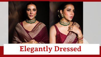 Actress Subhashree Ganguly Is All Elegance Personified In This Zari Saree; Take A Look