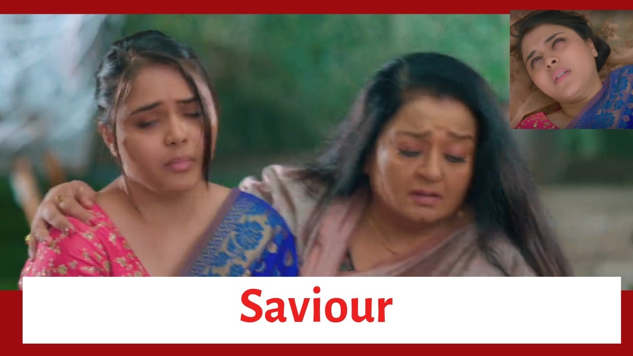 Anupamaa Spoiler: Malti Devi comes in as a saviour for Pakhi 851044