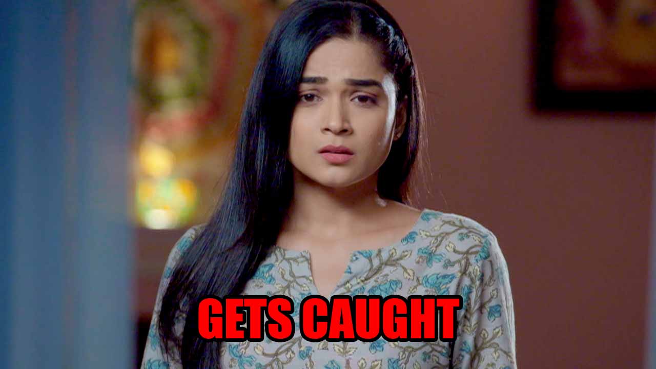 Dil Diyaan Gallaan spoiler: Riya gets caught in human trafficking case 847833