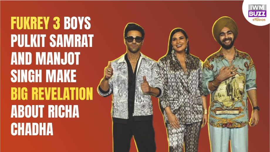 Exclusive Interview: Pulkit Samrat, Richa Chadha and Manjot Singh on Fukrey being a brand, masti-bond on set 856163